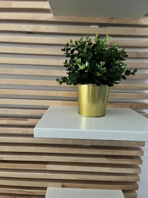 Casapratti Pescara Centro Apartment Ngoại thất bức ảnh